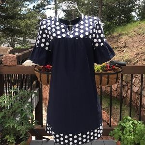J Crew Navy and White Polka Dot Dress